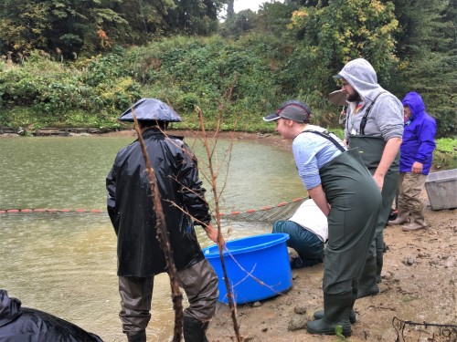 Yamakoshi, écotourisme, agriculture, Japon, Niigata