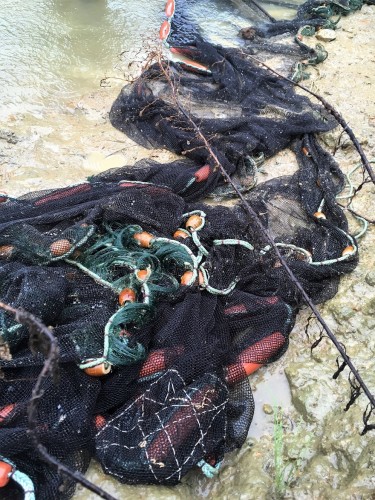 Yamakoshi, écotourisme, agriculture, Japon, Niigata