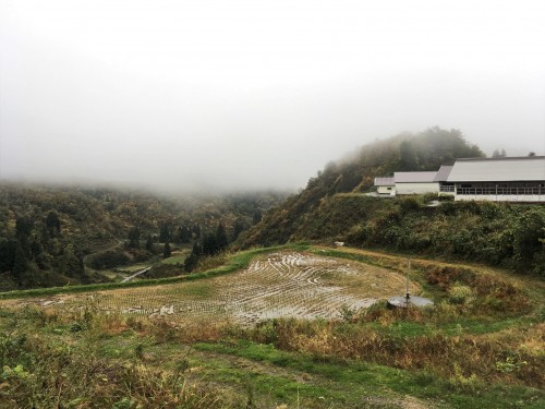 Yamakoshi, écotourisme, agriculture, Japon, rizière