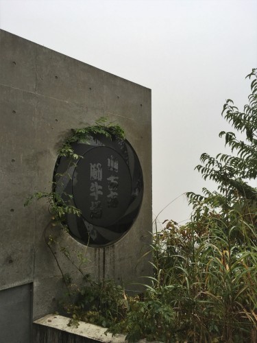 Yamakoshi, écotourisme, agriculture, Japon, Niigata, 