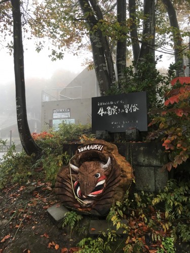 Yamakoshi, écotourisme, agriculture, Japon, Niigata, 