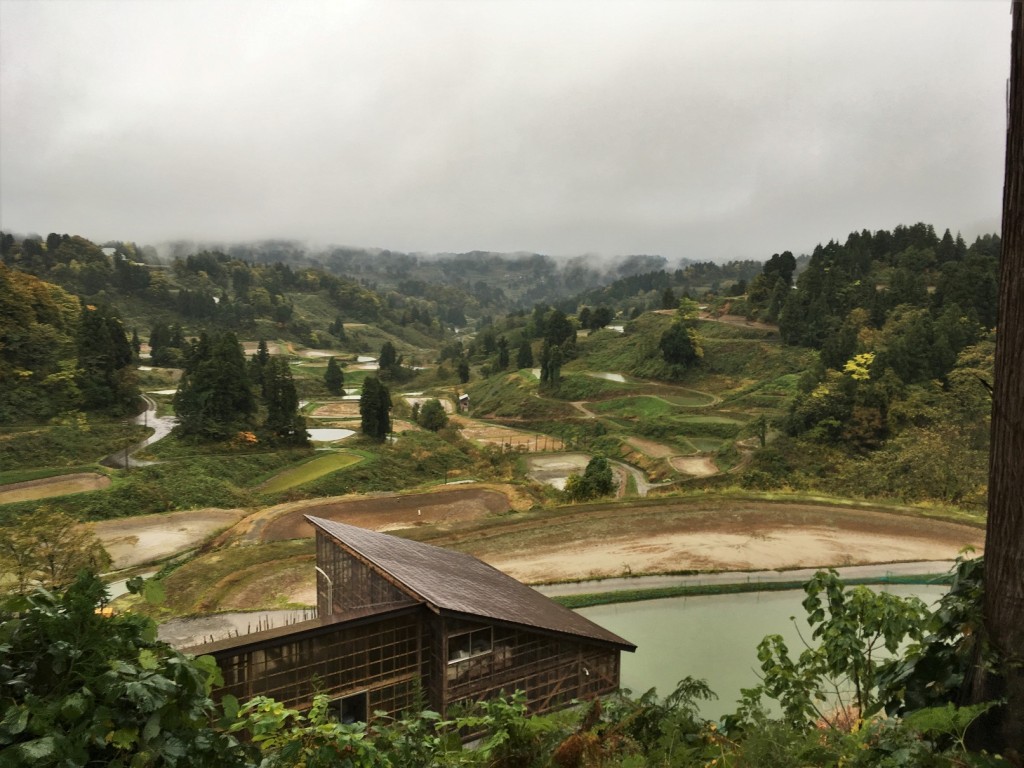 Le temps d’un écotour local dans la région de Yamakoshi