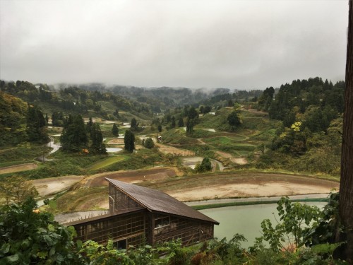 Le temps d’un écotour local dans la région de Yamakoshi