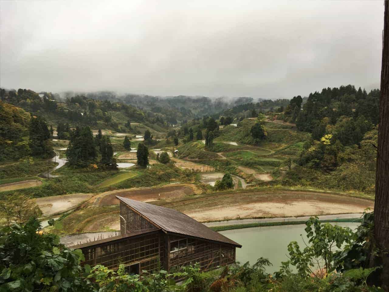 Le temps d’un écotour local dans la région de Yamakoshi