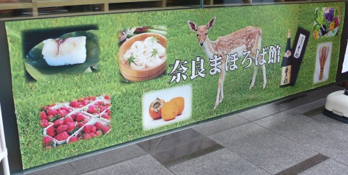 antenna shop, tokyo, région du japon, préfecture, traditions locales, Nara