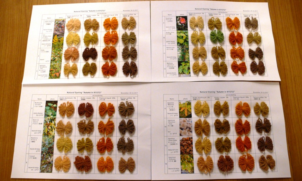 Fixer les couleurs de l’automne à la Kawashima Textile School