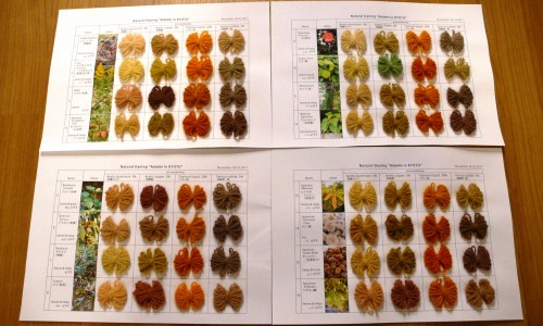 Kawashima Textile School, Kyoto, Tissu, Japon, Couleurs d'automne, teinture