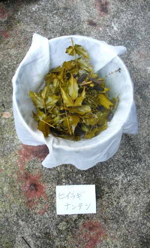 Kawashima Textile School, Kyoto, Tissu, Japon, Couleurs d'automne, teinture