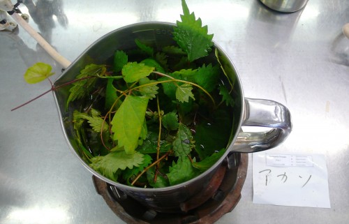 Kawashima Textile School, Kyoto, Tissu, Japon, Couleurs d'automne, teinture