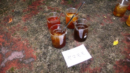 Kawashima Textile School, Kyoto, Tissu, Japon, Couleurs d'automne, teinture