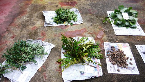 Kawashima Textile School, Kyoto, Tissu, Japon, Couleurs d'automne, teinture