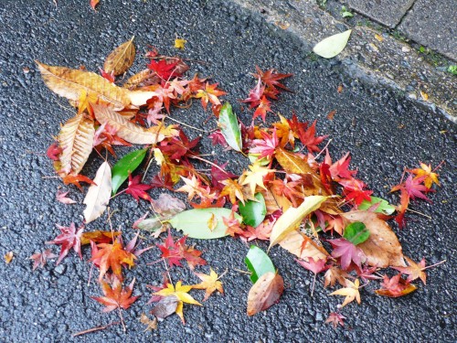 Kawashima Textile School, Kyoto, Tissu, Japon, Couleurs d'automne, teinture