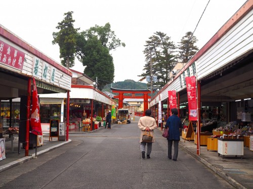 Yutoku Inari en kimono, saga, kyushu, obi, sanctuaire