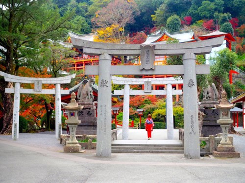 Yutoku Inari en kimono, saga, kyushu, obi, sanctuaire