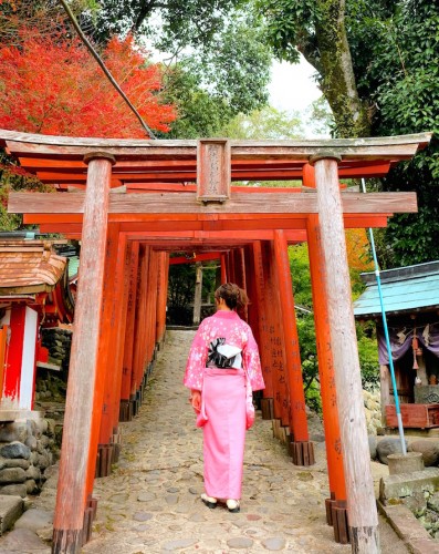 Yutoku Inari en kimono, saga, kyushu, obi, sanctuaire
