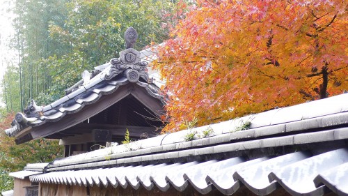 Kitsuki, ville-sandwich, oita, samouraï, Kyushu