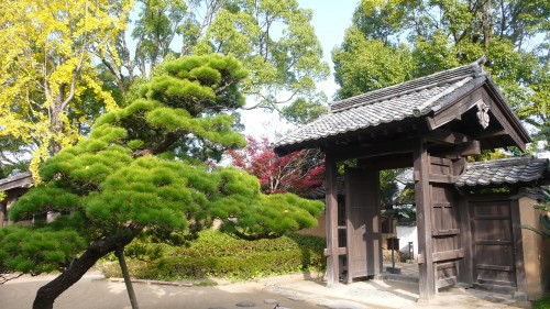 Kitsuki, ville-sandwich, oita, samouraï, Kyushu