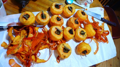 Noka minshuku, séjour à la ferme, Kitsuki, Oita, Kaki