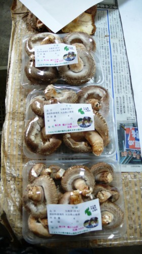 Noka minshuku, séjour à la ferme, Kitsuki, Oita, Shiitake