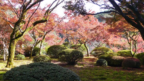 Découverte automnale du jardin de Kunenan, Saga, Kyushu, Japon.