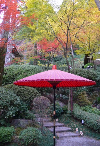 Temple Daikozenji, azalées, momiji, saga, kyushu