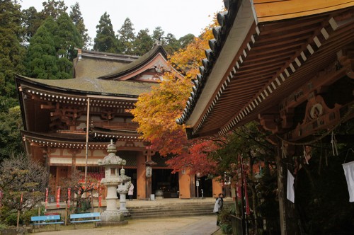 Chikubu-shima, Hikone, île sacrée, lac Biwa, Shiga, Hogonji