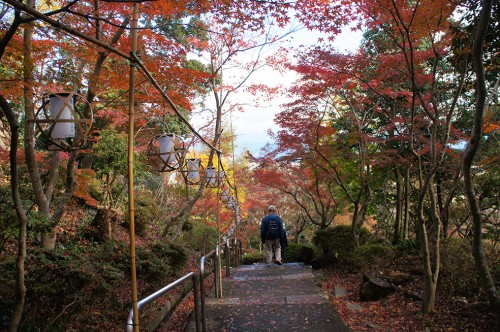 Omihachiman, Lac Biwa, Baumkuchen, époque Edo, mont Hachiman