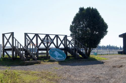 Randonner à cheval dans l'immense caldeira du mont Aso, Kumamoto, Kyushu, Japon.
