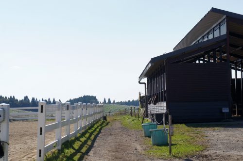El Patio – Écurie à mont Aso, Kumamoto, Kyushu, Japon.