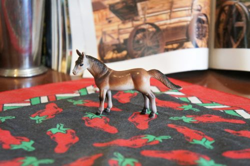 Randonner à cheval dans l’immense caldeira du mont Aso