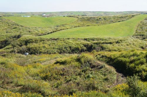 Randonner à cheval dans l'immense caldeira du mont Aso, Kumamoto, Kyushu, Japon.