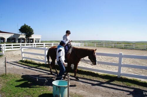 Randonner à cheval dans l'immense caldeira du mont Aso, Kumamoto, Kyushu, Japon.