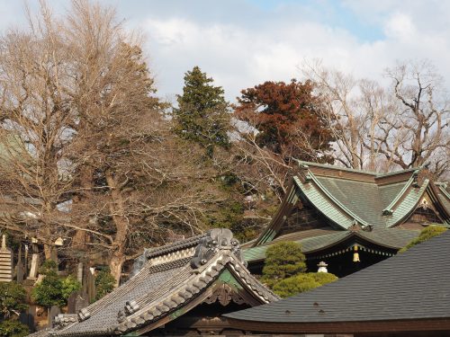 Narita-san, temple, Japon, aéroport de Narita, Keisei