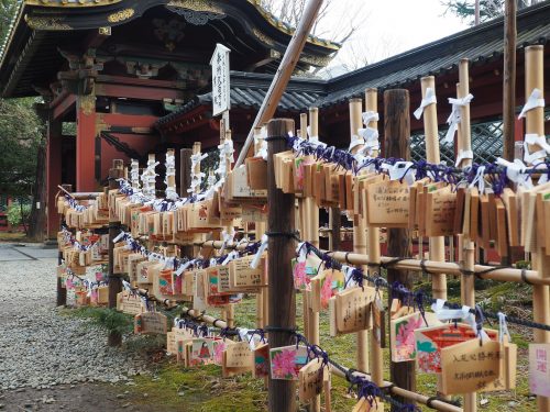 Yanesen, Tokyo, Keisei Skyliner, Narita