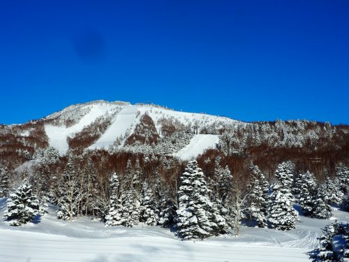 Shiga Kogen Prince Hotel East Wing, Nagano, Ski