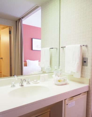 Shiga Kogen Prince Hotel East Wing, Nagano, Ski