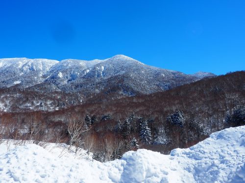 Shiga Kogen, Nagano, Station de ski, Japon, neige