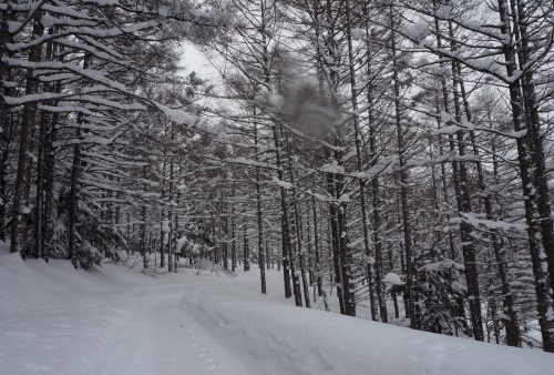 Shiga Kogen, Nagano, Station de ski, Japon, neige