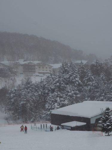 Shiga Kogen, Nagano, Station de ski, Japon, neige