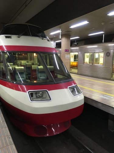Snow Monkey Park, Macaques japonais, Nagano, Onsen