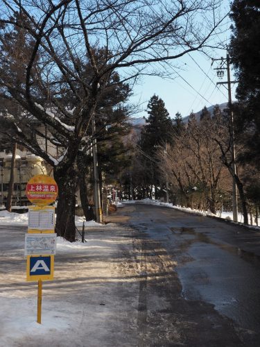 Snow Monkey Park, Macaques japonais, Nagano, Onsen