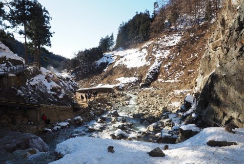 Snow Monkey Park, Macaques japonais, Nagano, Onsen