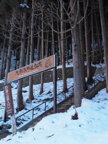 Snow Monkey Park, Macaques japonais, Nagano, Onsen
