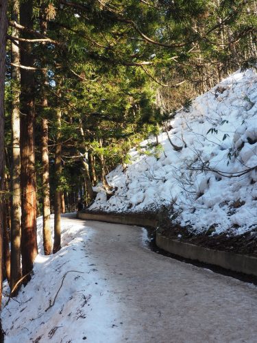 Snow Monkey Park, Macaques japonais, Nagano, Onsen
