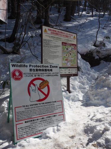 Snow Monkey Park, Macaques japonais, Nagano, Onsen