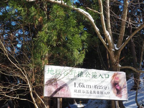 Snow Monkey Park, Macaques japonais, Nagano, Onsen