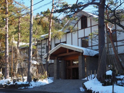 Snow Monkey Park, Macaques japonais, Nagano, Onsen