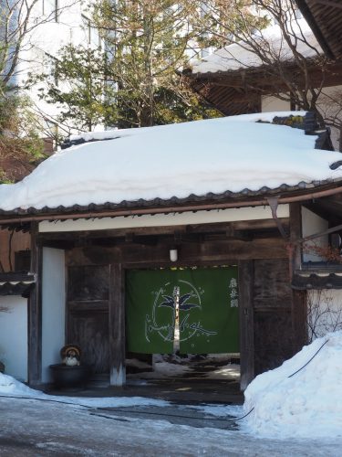 Snow Monkey Park, Macaques japonais, Nagano, Onsen