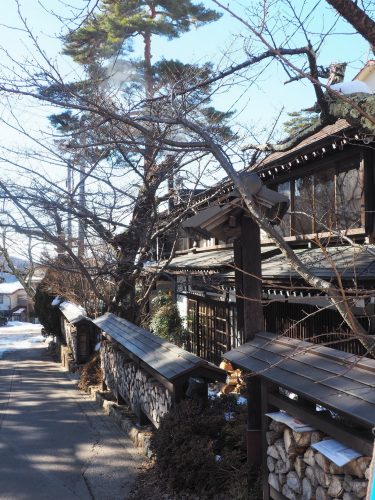 Snow Monkey Park, Macaques japonais, Nagano, Onsen