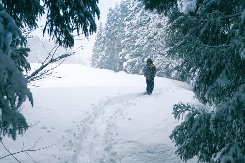 Takane, neige, raquettes, Niigata